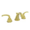 Newport Brass Polished Gold - PVD Two Handle Widespread Bathroom Sink Faucet Lever Handle 