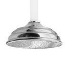 Single Function Showerhead in Polished Nickel - Natural