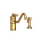 Newport Brass Polished Gold - PVD Single Handle Kitchen Faucet 