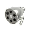 Newport Brass Polished Nickel - Natural Single Function Full Showerhead 