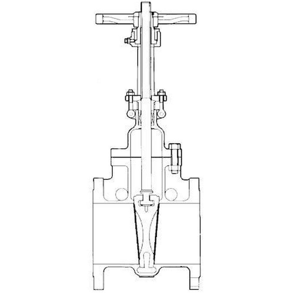 OIC Valve 4 in. Stainless Steel Flanged Gate Valve | Ferguson