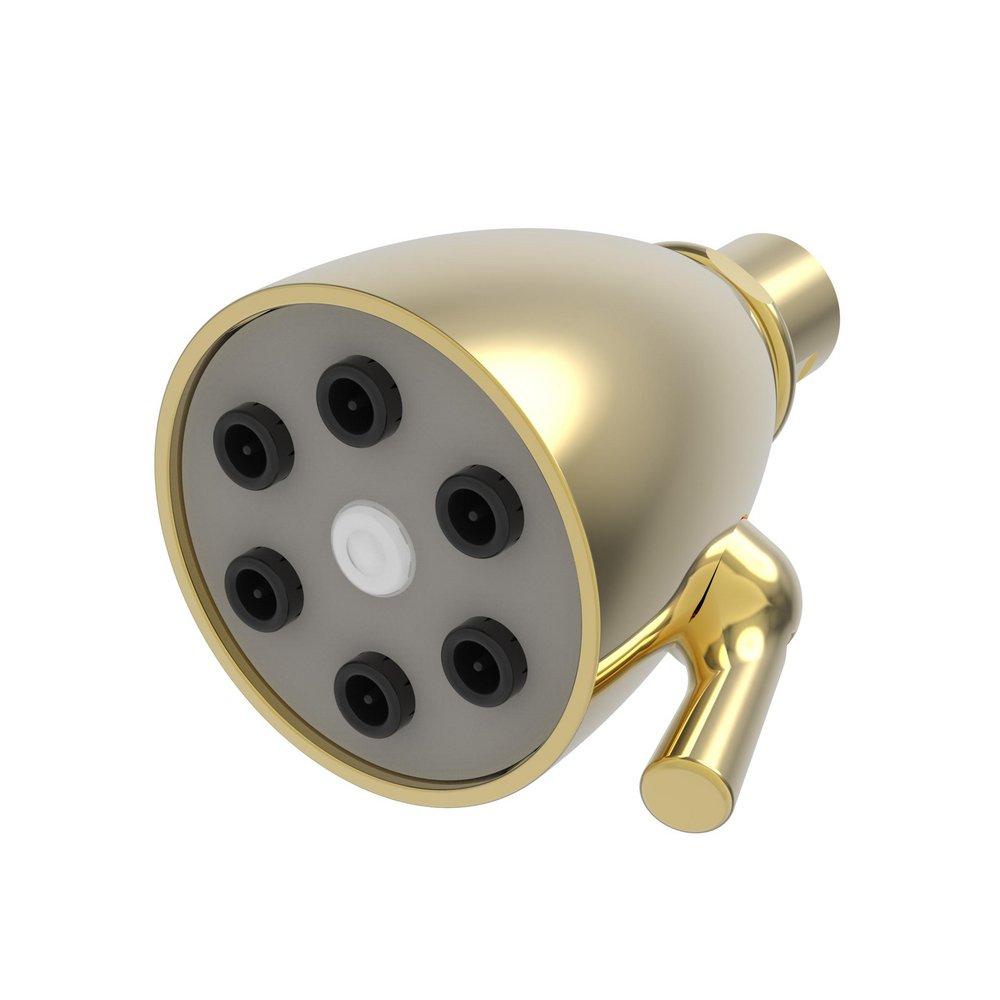 Newport Brass Polished Gold - PVD Single Full Showerhead 