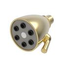 Newport Brass Polished Gold - PVD Single Full Showerhead 