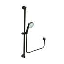 Single Function Hand Shower in Oil Rubbed Bronze