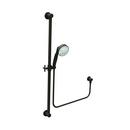 Newport Brass Oil Rubbed Bronze Single Function Hand Shower 