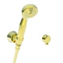 Newport Brass Polished Nickel - Natural Single Function Hand Shower 