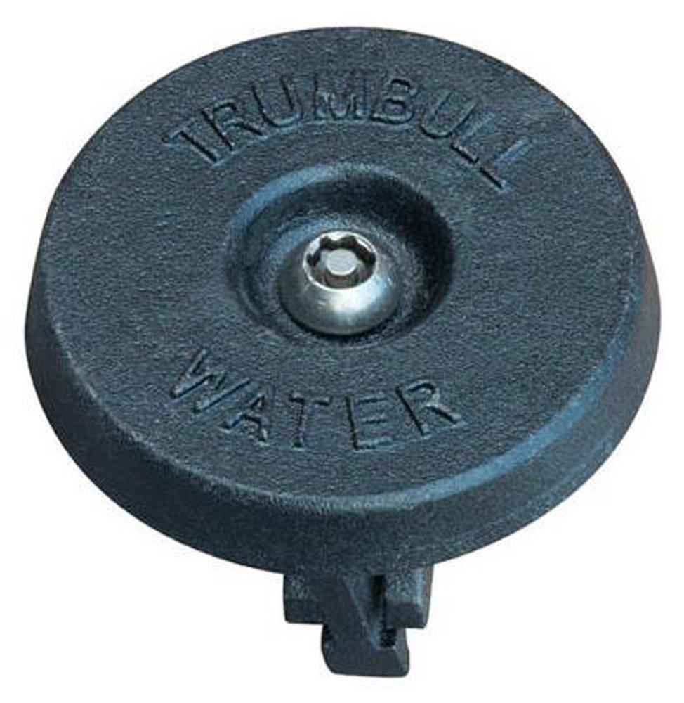 2-1/2 in. Ductile Iron Outside Curb Box Repair Lid 