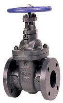 NIBCO Cast Iron Full Port Flanged Gate Valve 
