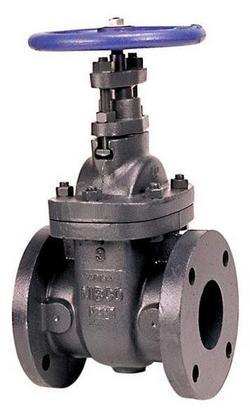 2-1/2 in. Cast Iron Full Port Flanged Gate Valve