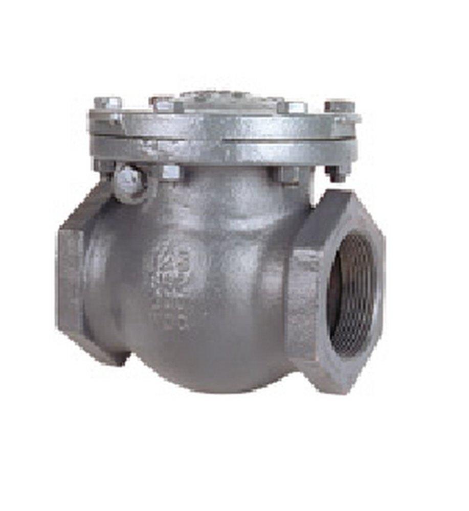 Crane Valve/Crane Energy Flow Sol Ductile Iron Threaded Check Valve 