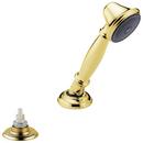 Single Function Hand Shower in Brilliance Polished Brass