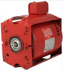 Armstrong Pumps 1-Phase Pump Motor 