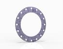 Garlock 16 Non Asbestos 150# 1/16 Full Face Gasket 
