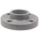 Chemtrol Light Grey CPVC Schedule 80 Flange 