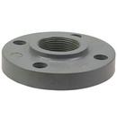 Chemtrol Light Grey Threaded Schedule 80 Heavy Duty CPVC Flange 