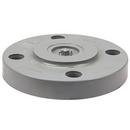 Chemtrol Blind Schedule 80 Heavy Duty CPVC Flange 