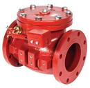 4 in. Epoxy Coated Cast Iron Flanged Check Valve