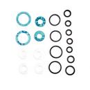 Watts Cast Iron Valve Repair Kit 