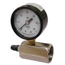 3/4 in. FIP 200 psi Gas Test Gauge Assembly