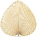 22 in. Wide Oval Leaf 5-Blade Fan Set in Natural Palm