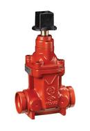 6 in. Grooved Ductile Iron Non-Rising Stem Gate Valve