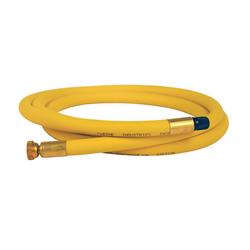 100 psi 5 ft. Hose Extension