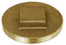 2 in. Brass Flush Plug