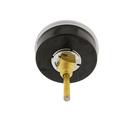 Jones Stephens 1/4 in. NPT Pressure Gauge 