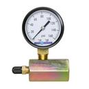 160 PSI Gas Test Gauge Assembly 