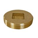 4 in. Brass Countersunk Plug