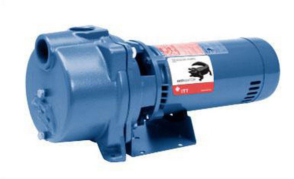 Goulds Water Technology 230V 1-Phase Lexan&reg;, Noryl&reg;, Cast Iron and Stainless Steel ODP Self Priming Pump 