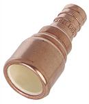 Sioux Chief Copper PEX Crimp x CPVC Socket Weld Adapter 
