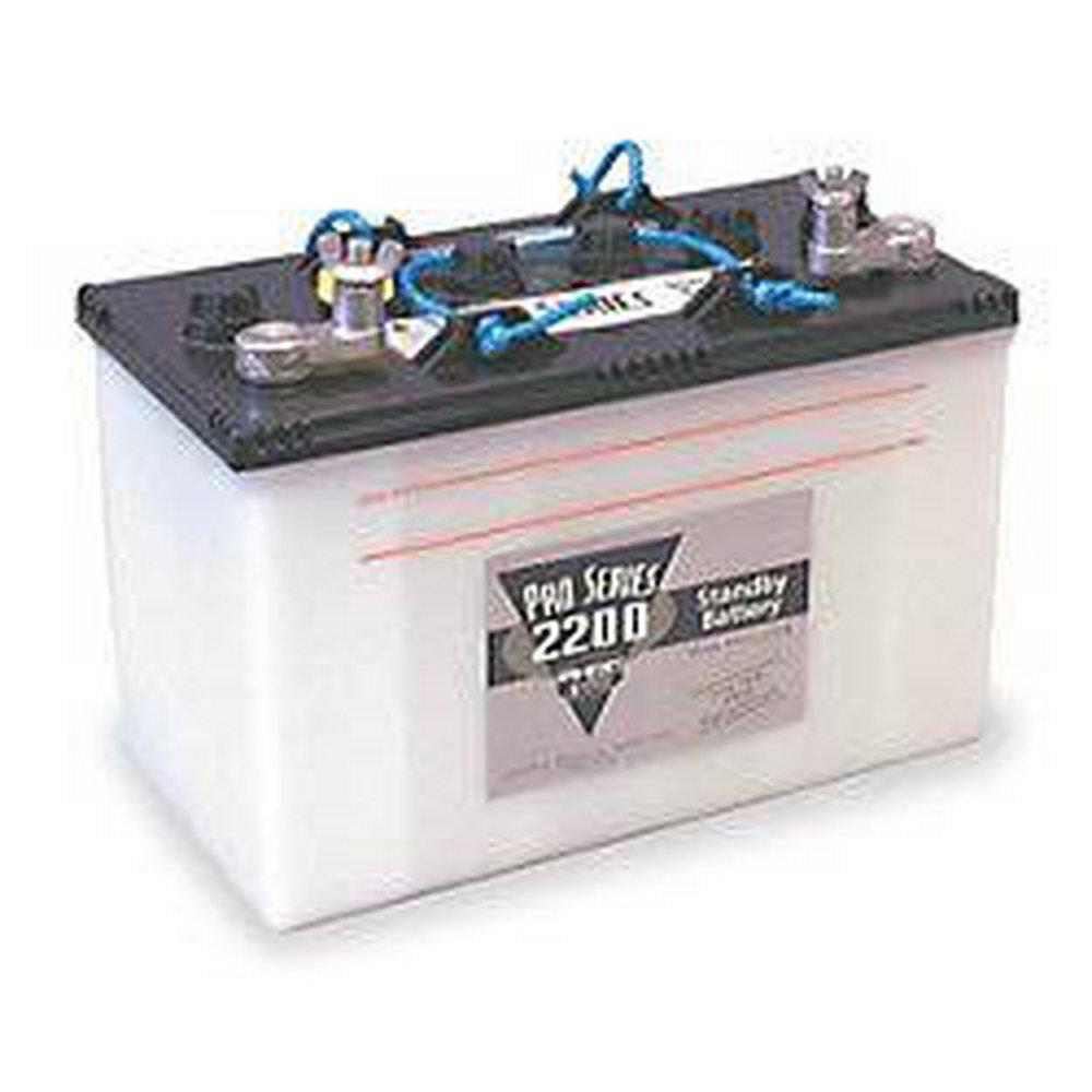 Glentronics Basement Watchdog Standby Battery 