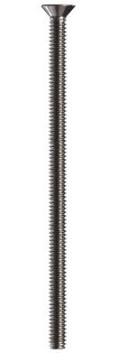 Silver Cleanout Cover Screw
