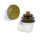 Watco Polished Brass Plastic Lift and Turn Drain 