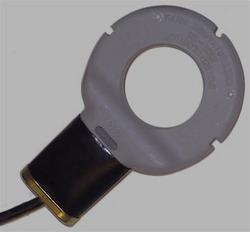 120 V 250 W Immersion Heater