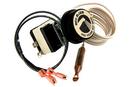 Thermostat Kit for Indirect and Gold Plus Water Heaters