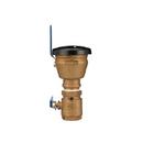 Zurn Wilkins Cast Bronze FNPT Cast Bronze 300 psi BFP Vacuum Breaker 