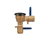 Zurn Wilkins Cast Bronze FNPT Cast Bronze 300 psi BFP Vacuum Breaker 