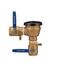 Threaded Polypropylene, Cast Bronze and 300L Stainless Steel 2 in. 150 psi BFP Vacuum Breaker