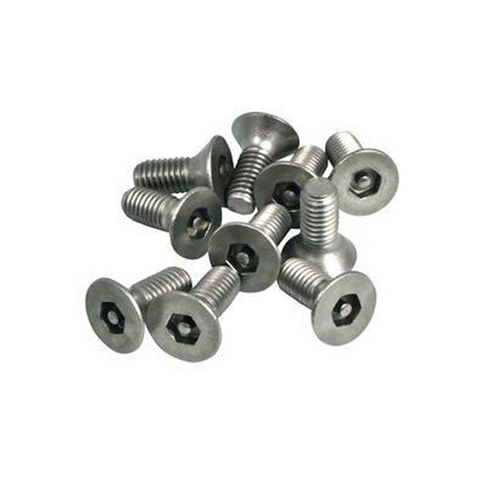 Acorn Engineering Large Flat Head Screw (10 per Bag) 