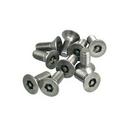Acorn Engineering Large Flat Head Screw (10 per Bag) 