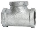 2 in. FPT 150# Global Galvanized Malleable Iron Tee