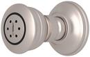 Body Spray with Swivel Connector in Satin Nickel