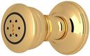 ROHL&reg; Inca Brass Body Spray with Swivel Connector 