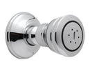 Body Spray with Swivel Connector in Polished Nickel