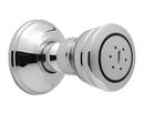 ROHL&reg; Polished Nickel Body Spray with Swivel Connector 