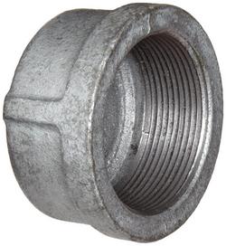 1/2 in. FPT Galvanized Malleable Iron Cap