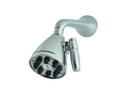 Single Function Showerhead in Polished Nickel