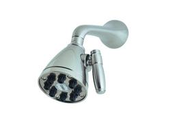 Multi Function Showerhead in Polished Nickel